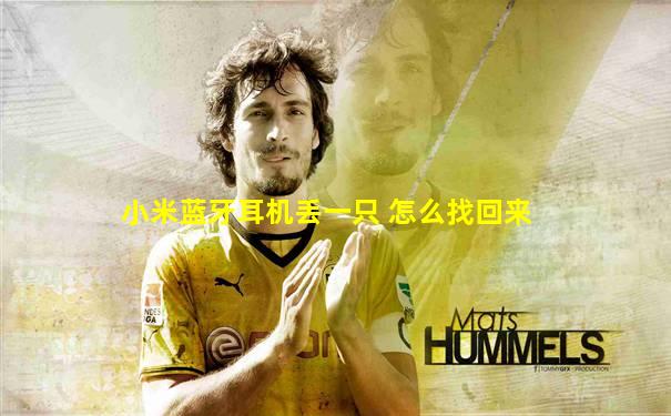 小米蓝牙耳机丢一只 怎么找回来